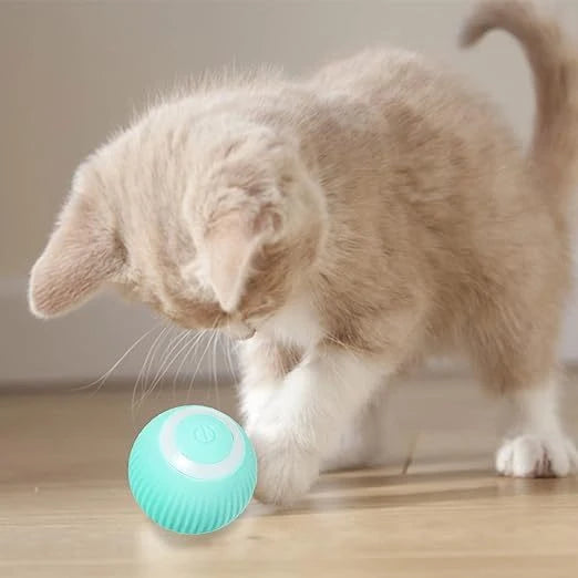 Bola Interativa SmartPet – Brinquedo Automático com Carregamento USB para Pets